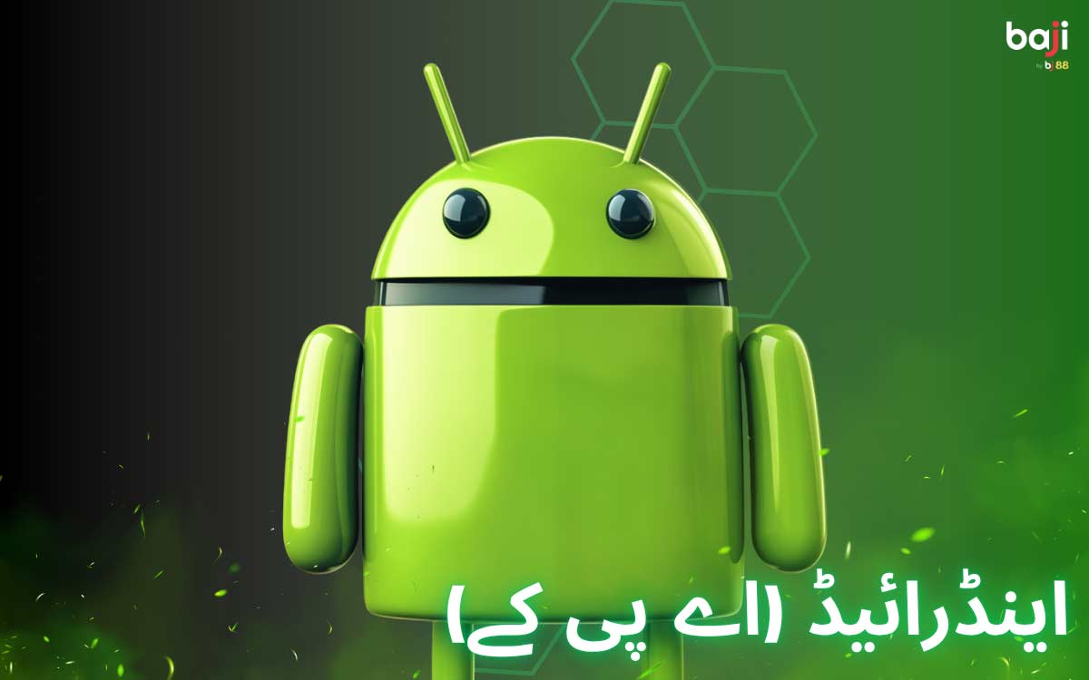 اینڈرائیڈ پر باجی ایپ انسٹال کرنا